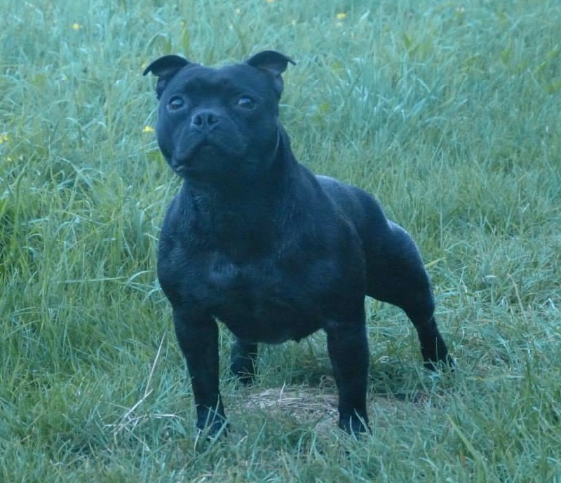 Holly lola success story